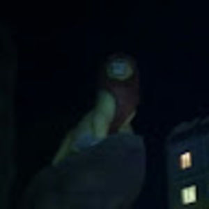 Meet your Posher, Maddy